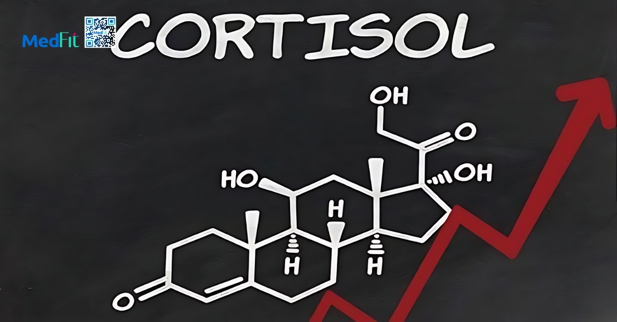 cơ thể sản sinh nhiều cortisol có thể thúc đẩy tích tụ mỡ nội tạng