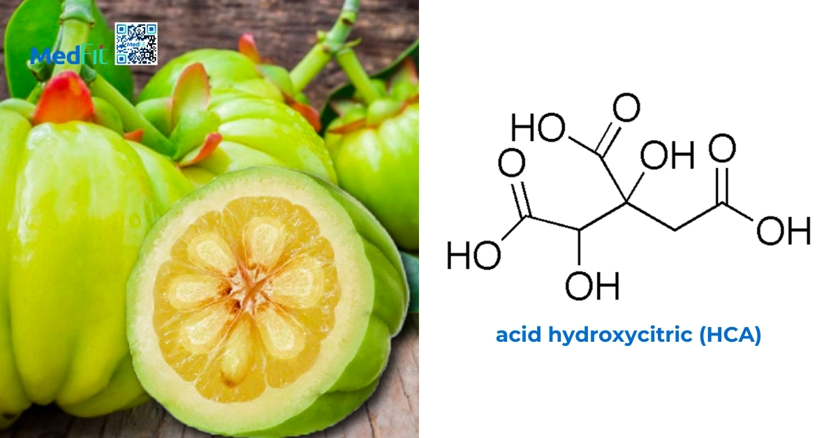 acid hydroxycitric là một thành thần có trong garcinia cambogia