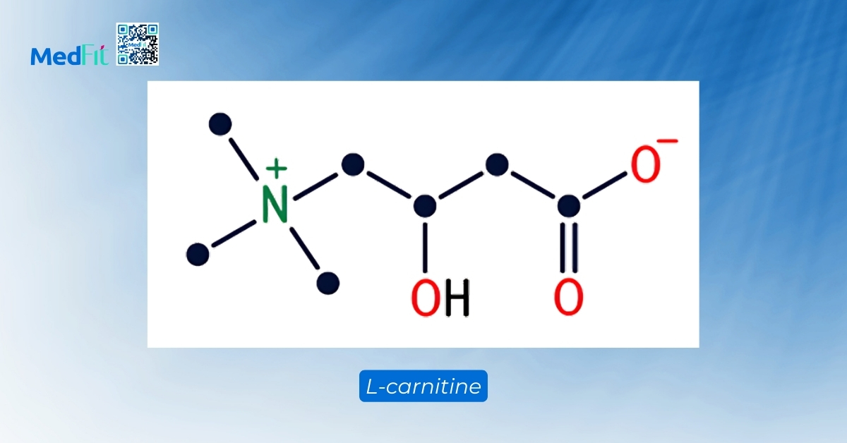 công thức phân tử của l-carnitine