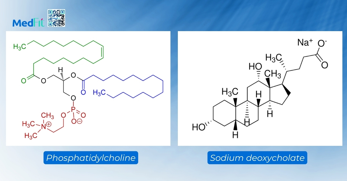 phosphatidylcholine và deoxycholate