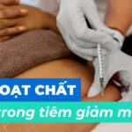 Các hoạt chất dùng trong tiêm giảm mỡ