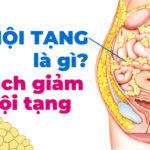 Mỡ nội tạng là gì và cách giảm mỡ nội tạng
