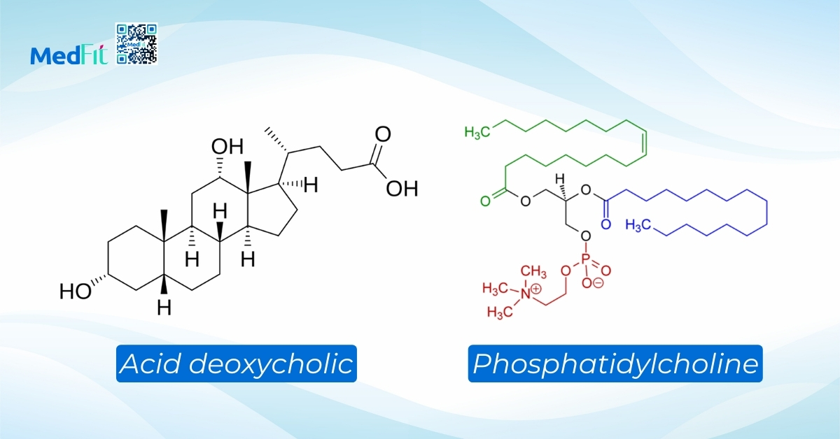 acid deoxycholic và phosphatidylcholine là hai thuốc thường được dùng nhất trong tiêm giảm mỡ