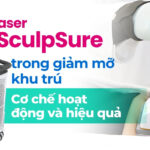 LeShape là gì? Có thực sự giúp giảm mỡ hiệu quả? 4 Laser SculpSure trong giảm mỡ khu trú: Cơ chế hoạt động và hiệu quả