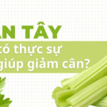 Cần tây có thực sự giúp giảm cân?