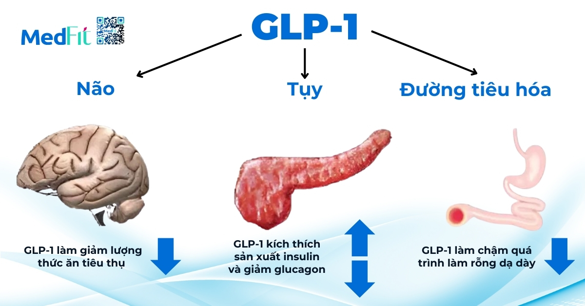 thuốc giảm cân