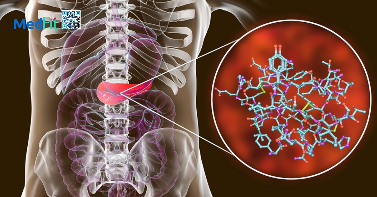 hormone insulin được sản xuất bởi tế bào beta tuyến tụy