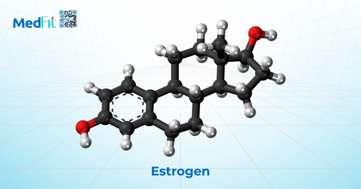 estrogen có vai trò quan trọng trong phân bố mỡ trong cơ thể