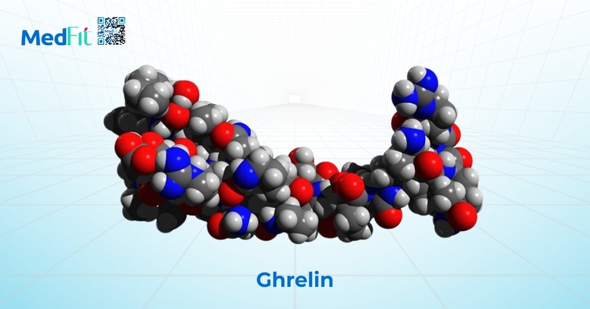 ghrelin thúc đẩy sự thèm ăn và tăng cường dự trữ mỡ