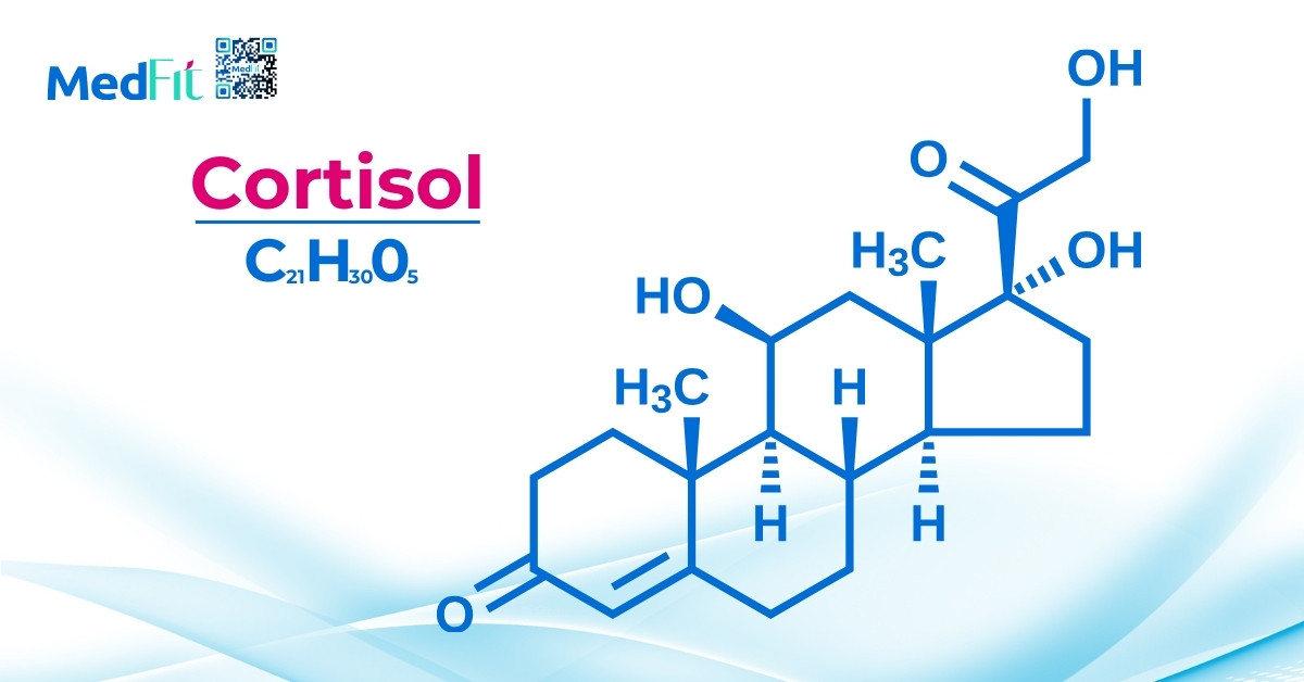 hormone cortisol gây thèm ăn và tăng tích trữ mỡ