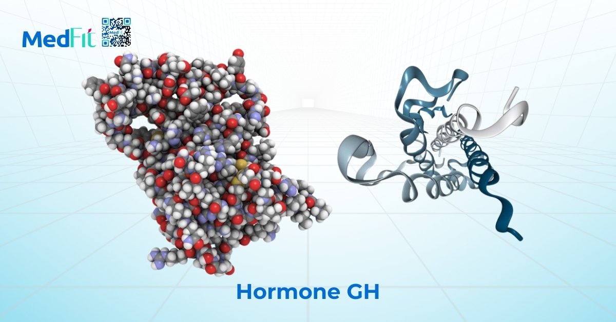 hormone tăng trưởng gh