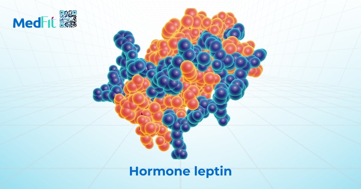 hormone leptin có vai trò trong việc tạo cảm giác no và giảm sự thèm ăn