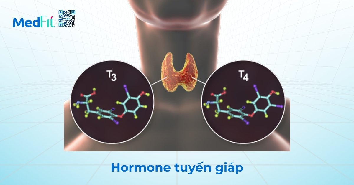 Hormone