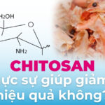 Hoạt chất Chitosan có giúp giảm cân hiệu quả không? Cách dùng thế nào?