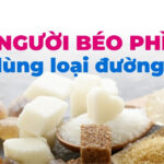 Người béo phì nên dùng loại đường nào?