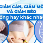 Giảm cân, giảm mỡ và giảm béo: giống hay khác nhau?