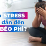 Tại sao stress có thể dẫn đến béo phì?
