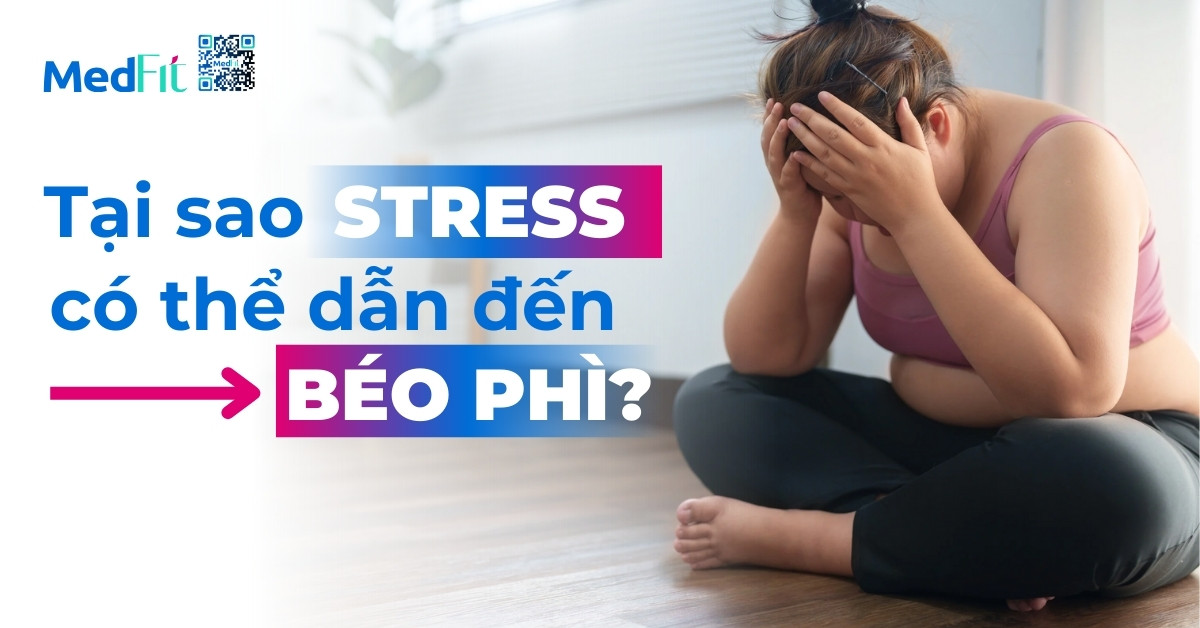 Tại sao stress có thể dẫn đến béo phì?