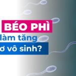 Tại sao béo phì có thể làm tăng nguy cơ vô sinh?