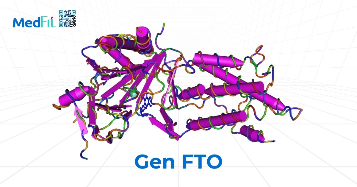 gen fto đã được xác định có liên quan mạnh mẽ đến béo phì