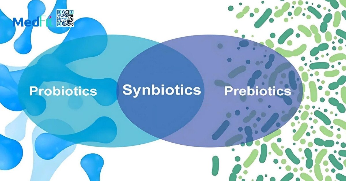 synbiotic là sự kết hợp giữa probiotic và prebiotic