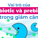 Vai trò của probiotic và prebiotic trong giảm cân