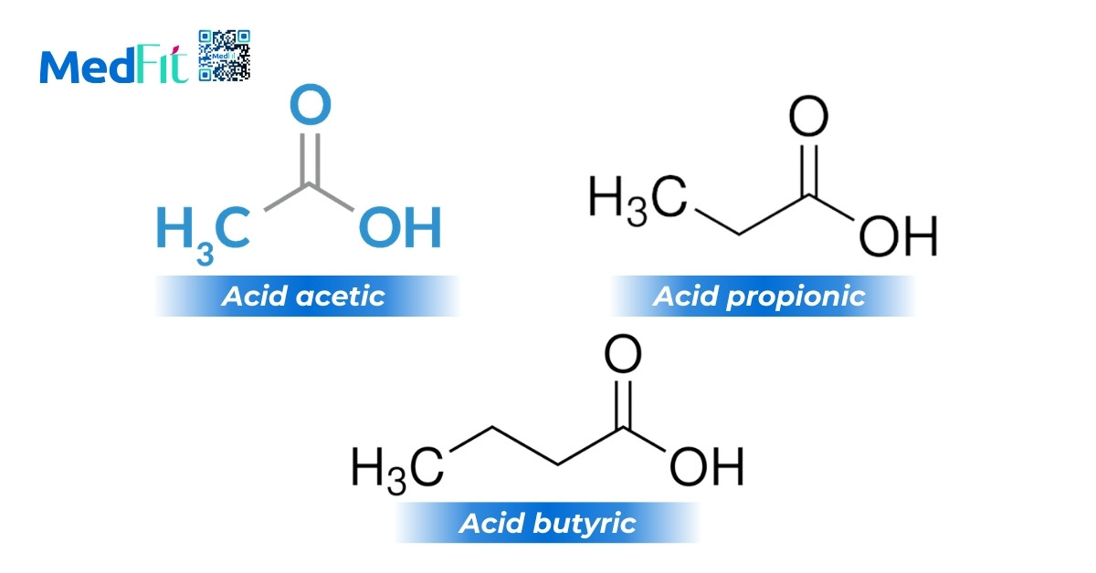 Acid chuoi ngan