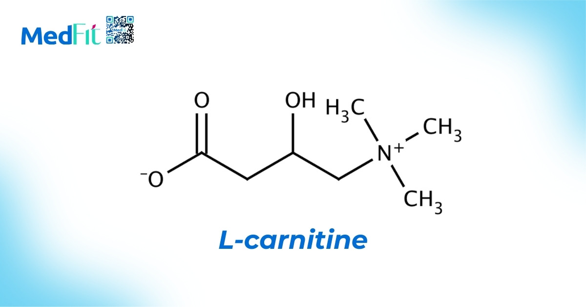 CTHH L-carnitine