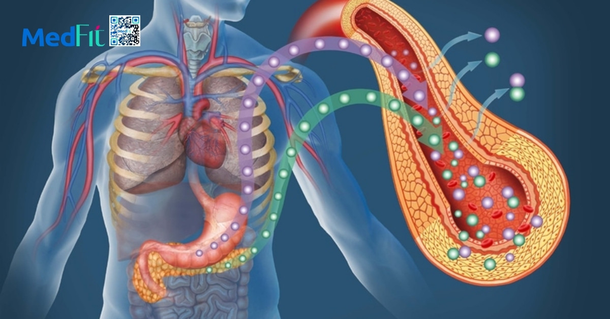 mức đường huyết trong cơ thể chủ yếu được kiểm soát bởi hormone insulin và glucagon sản xuất bởi tuyến tụy