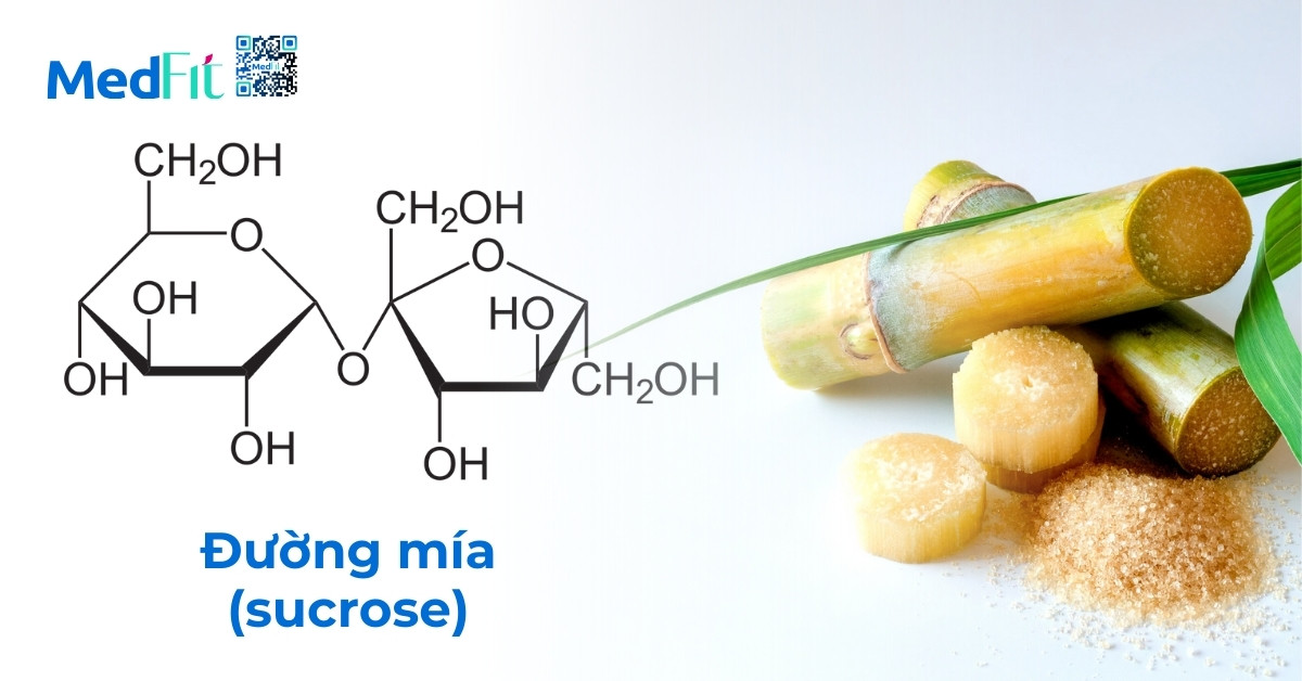 Đường mạch nha và đường mía