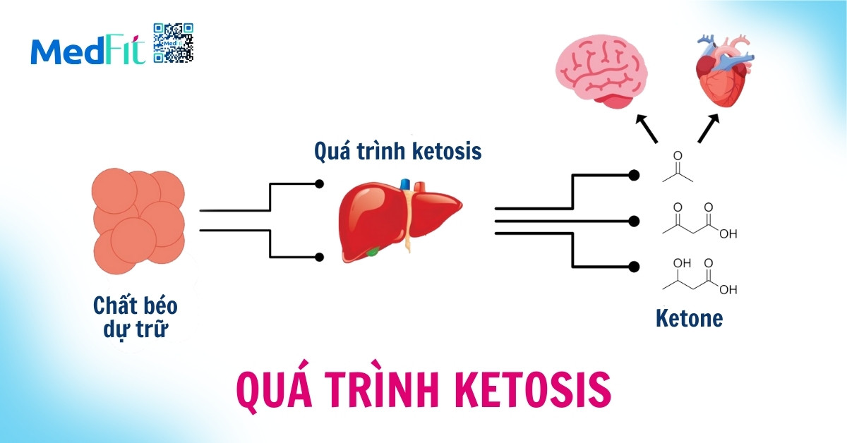 Quá trình ketosis