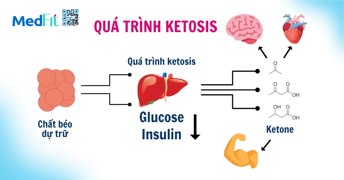 Qua trinh ketosis