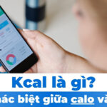 Kcal là gì? Sự khác biệt giữa calo và kcal