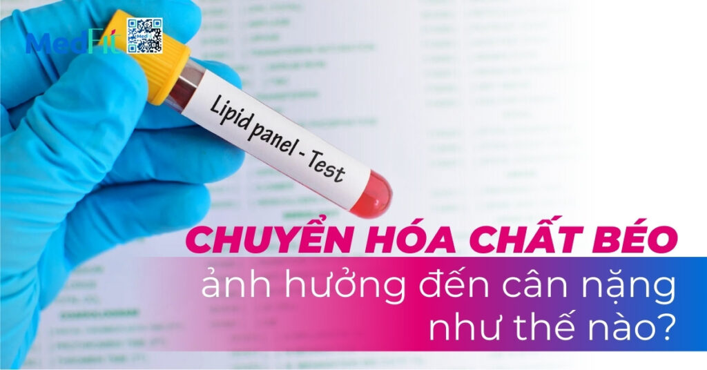 chuyển hóa chất béo ảnh hưởng đến cân nặng như thế nào?