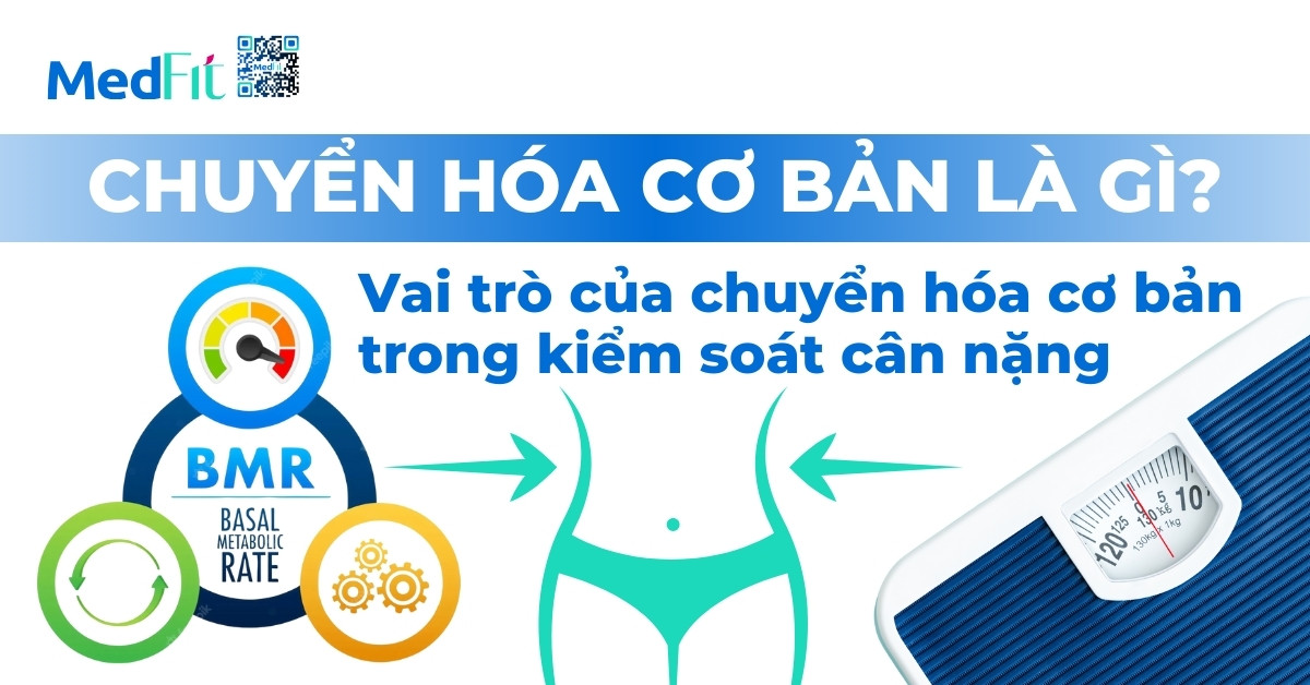 Chuyển hóa cơ bản là gì? Vai trò của chuyển hóa cơ bản trong kiểm soát cân nặng