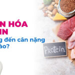 Chuyển hóa protein ảnh hưởng đến cân nặng như thế nào?