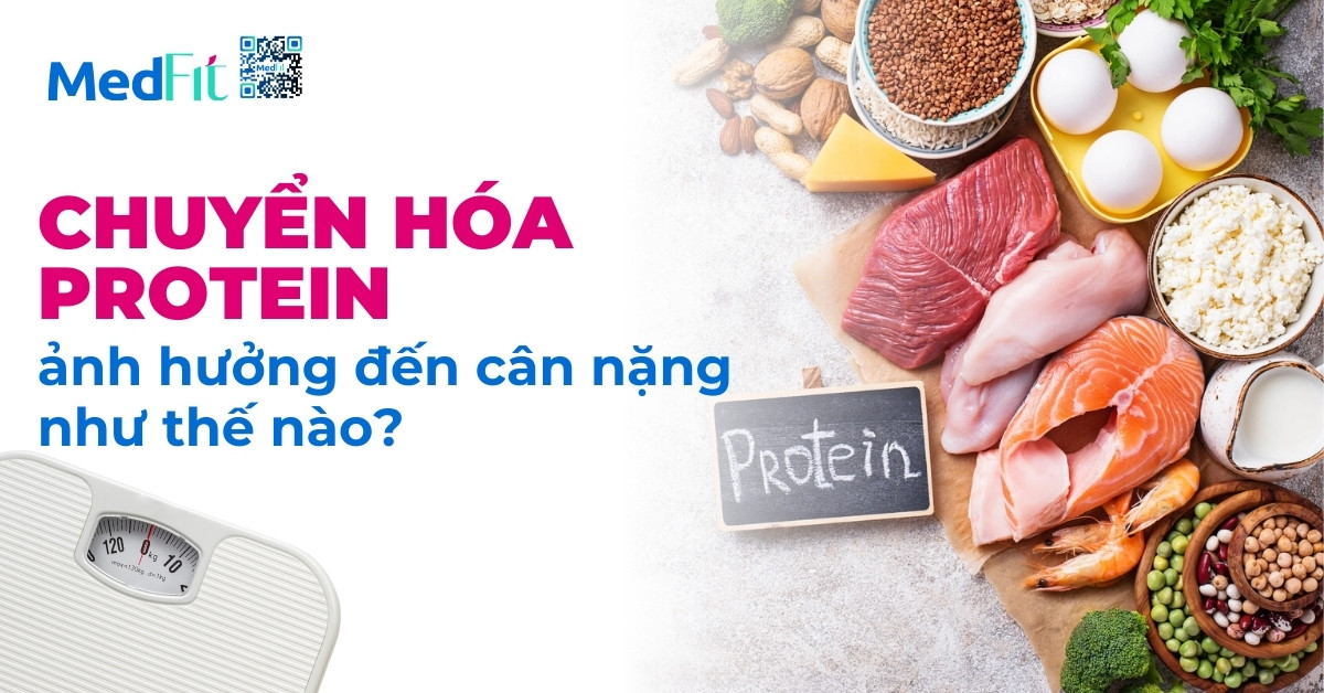 Chuyển hóa protein ảnh hưởng đến cân nặng như thế nào?