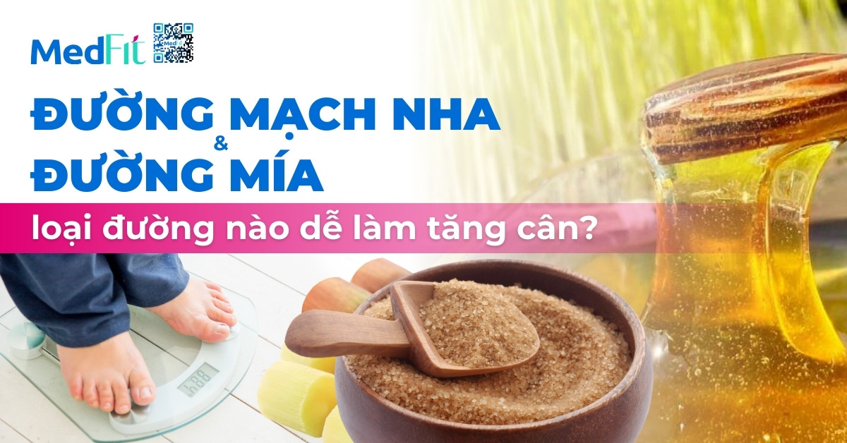 Đường mạch nha và đường mía, loại đường nào dễ làm tăng cân?