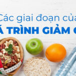 Các giai đoạn của quá trình giảm cân