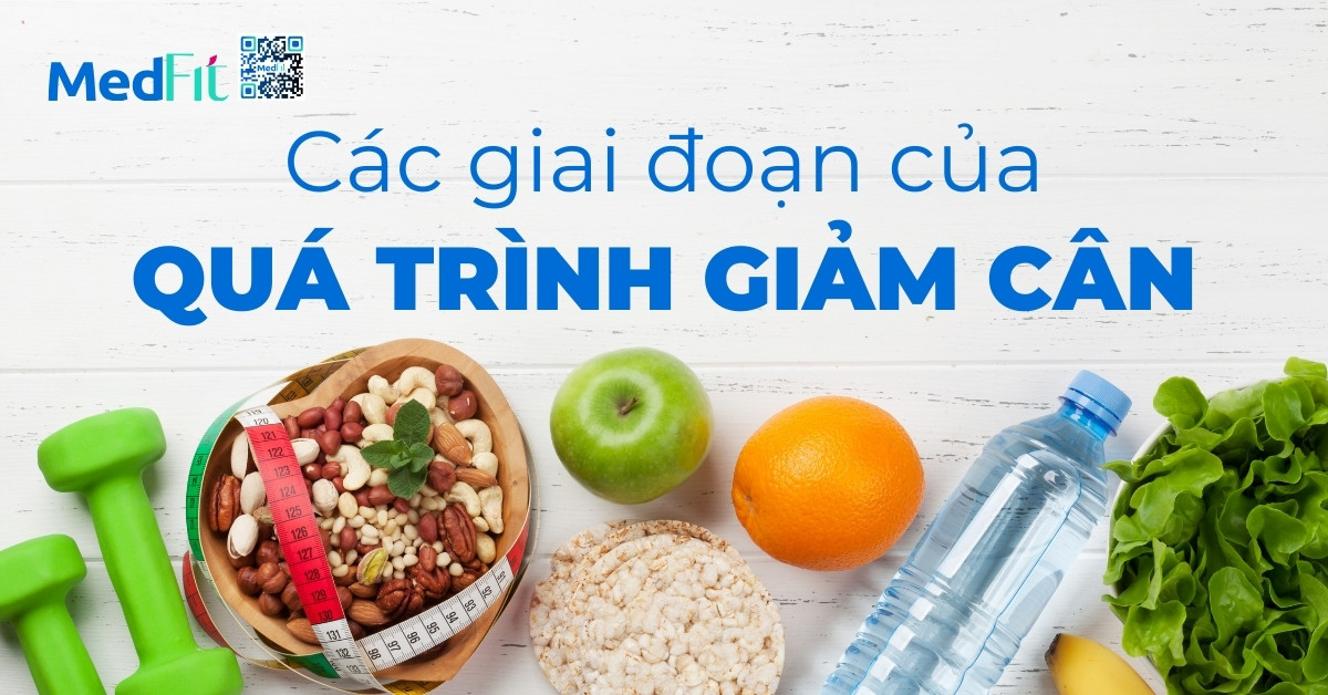 Các giai đoạn của quá trình giảm cân