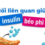 Mối liên quan giữa insulin và béo phì