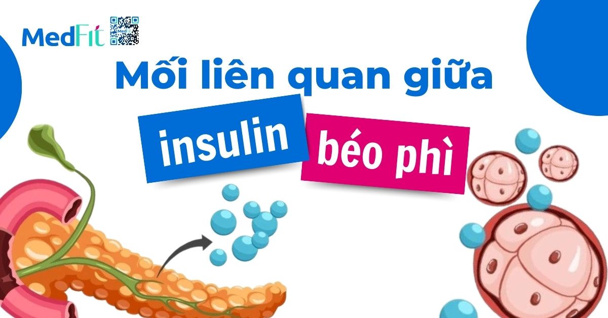 mối liên quan giữa insulin và béo phì