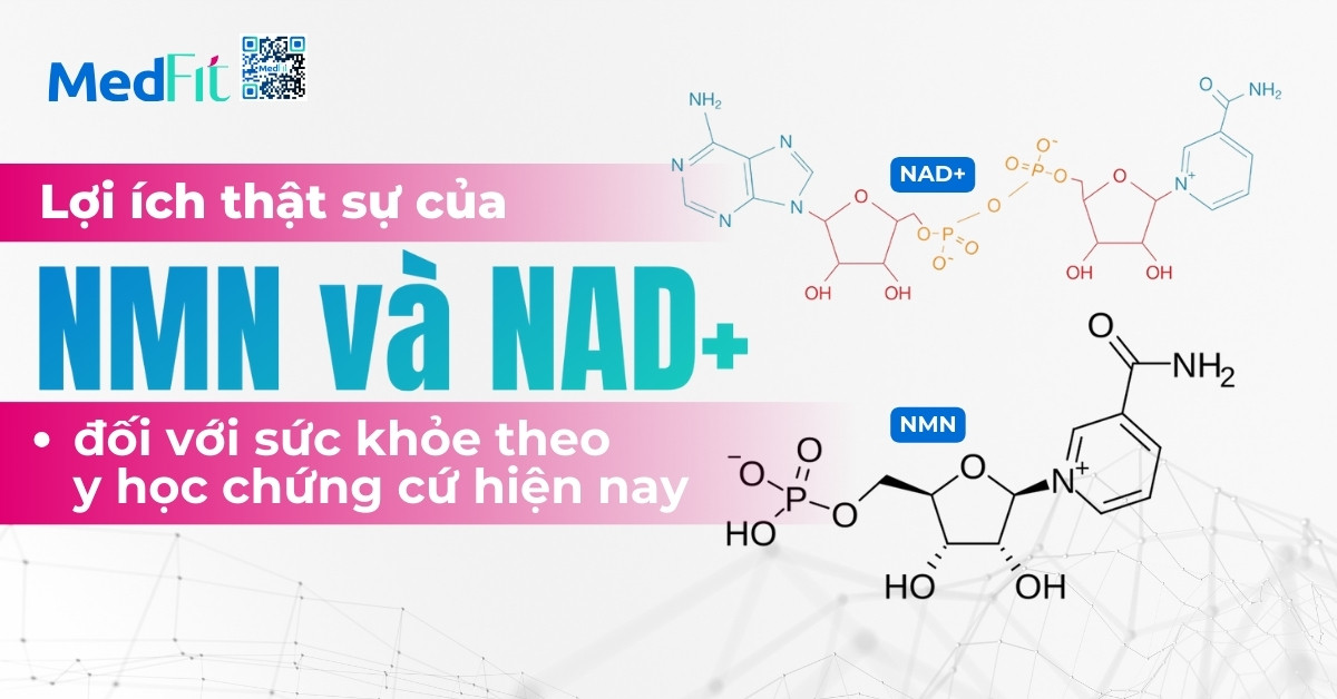 Lợi ích thật sự của NMN và NAD+ đối với sức khỏe theo y học chứng cứ hiện nay