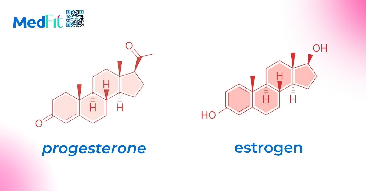 progesterone va estrogen