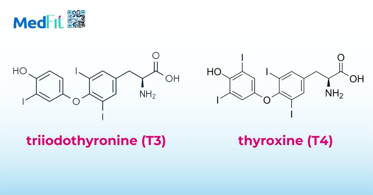 triiodothyronine T3 va thyroxine T4