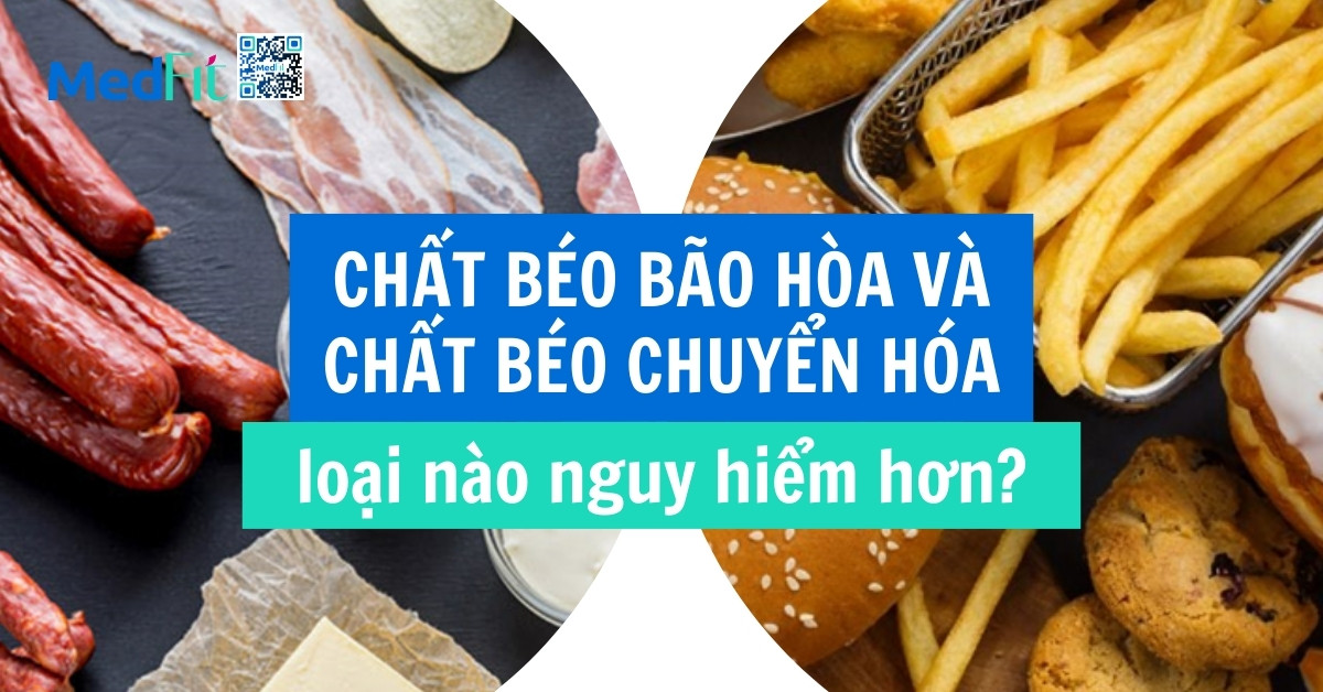 chất béo bão hòa và chất béo chuyển hóa