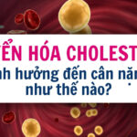 Ăn lòng lợn có giảm cân không? Cách chọn nguồn đạm thông minh để sớm xuống cân 5 Chuyển hóa cholesterol ảnh hưởng đến cân nặng như thế nào?