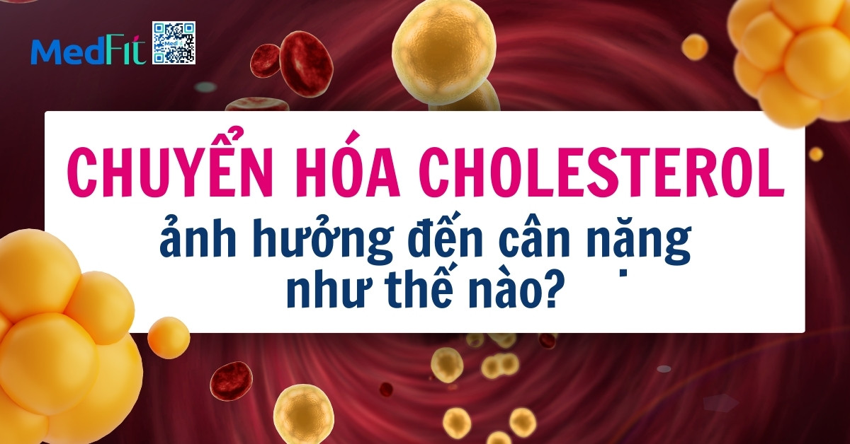 chuyển hóa cholesterol ảnh hưởng đến cân nặng như thế nào