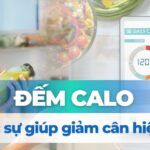 Nước tương bao nhiêu calo? Sự thật ít ai biết khi dùng mỗi ngày 6 Đếm calo có thực sự giúp giảm cân hiệu quả?