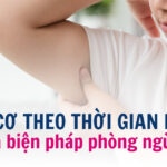 Vì sao cần tăng cơ giảm mỡ khi giảm cân? 8 Mất cơ theo thời gian là gì và biện pháp phòng ngừa